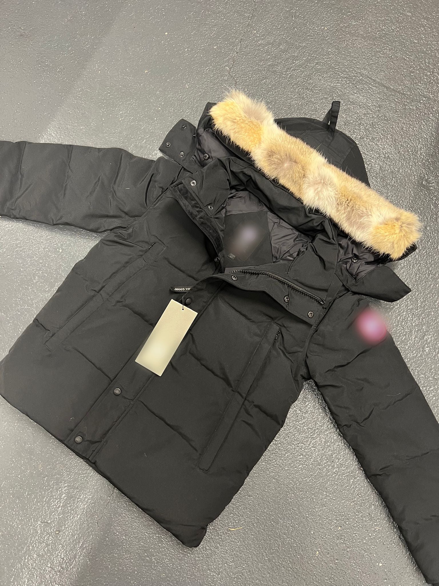 CG Windam Jacket 9-14