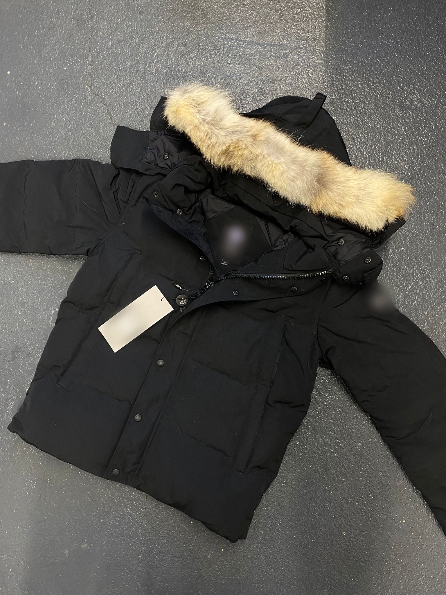 CG Windam Jacket 9-14